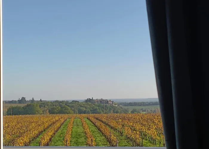 Le Coteau Des Sens Bed & Breakfast Belvès-de-Castillon