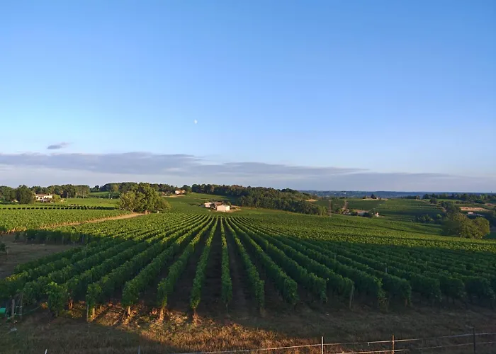 Le Coteau Des Sens Bed & Breakfast